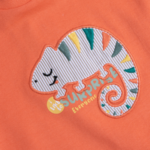 fixedratio_20241030093416_chicco_paidiki_mplouza_portokali_chicco5699