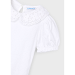 Ανώνυμο σχέδιο – 2025-02-20T205324.426